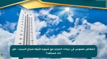 انخفاض ملموس في درجات الحرارة مع شبورة كثيفة صباح السبت – هل أنت مستعد؟
